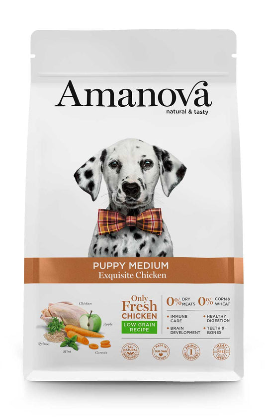 Amanova dog Puppy medium Exquisite Chicken