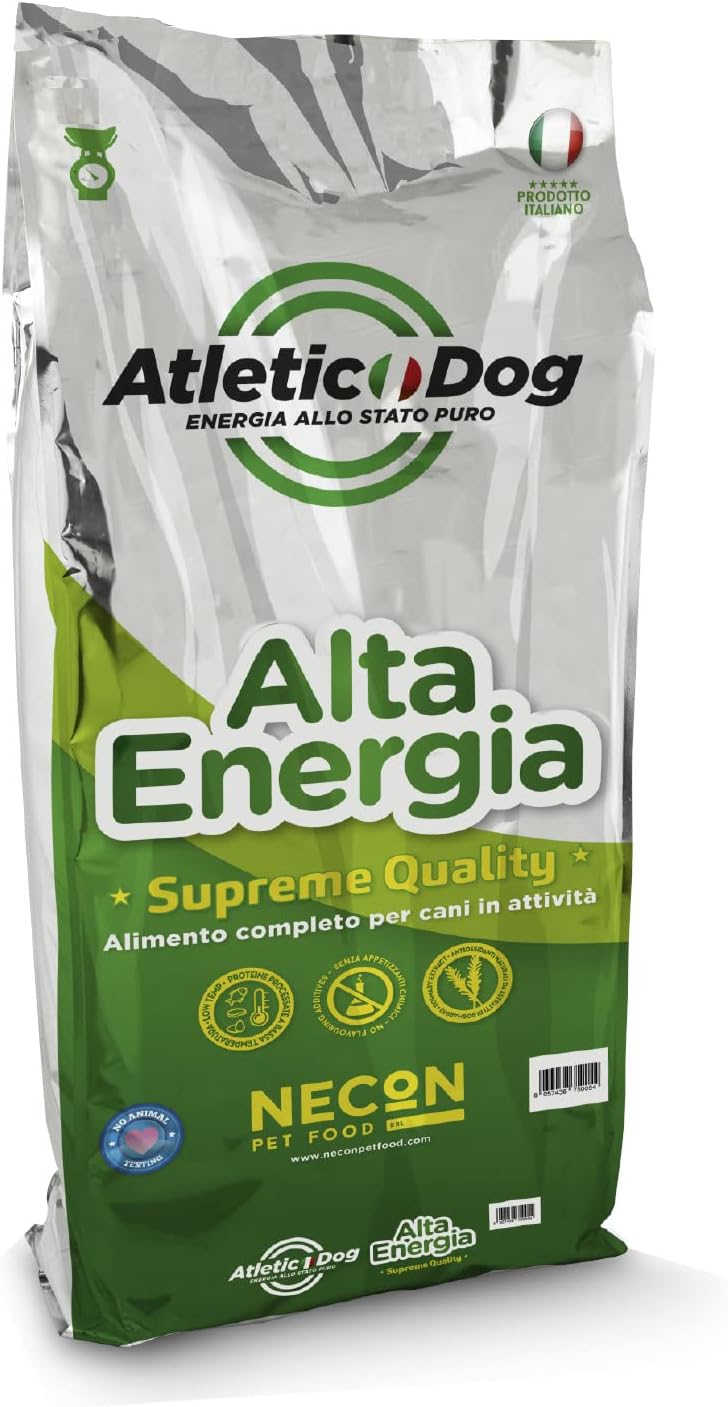 atletic dog Alta energia