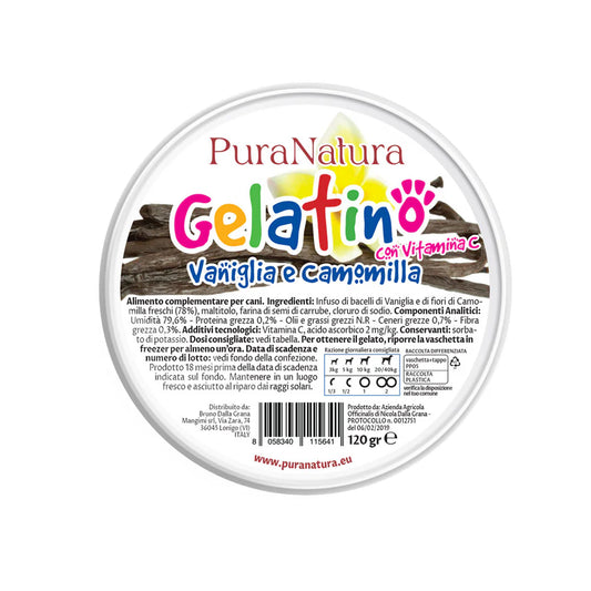 GELATINO ALLA VANIGLIA - Gelato per Cani