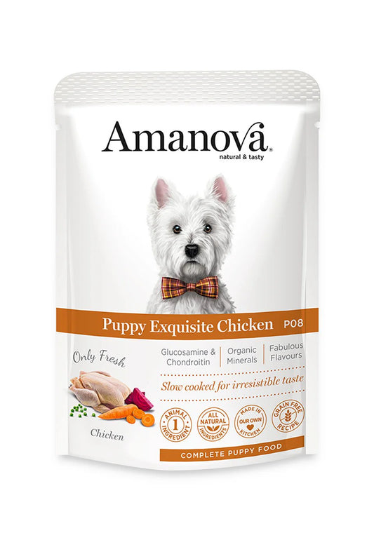 Amanova umido Puppy Exquisite Chicken